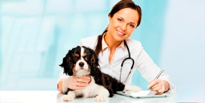 4586_large_1549359809